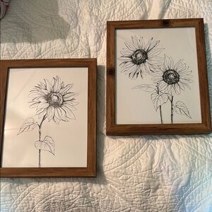 Sunflower Sketch 9x11 Framed Wall Art Set